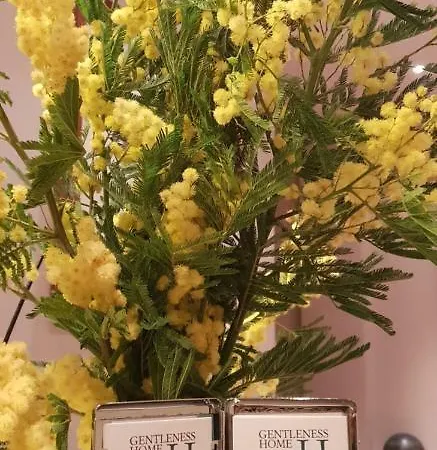 Gentleness Bed and breakfast